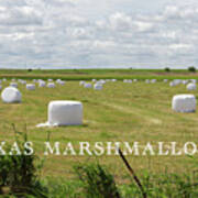 Texas Marshmallows Poster
