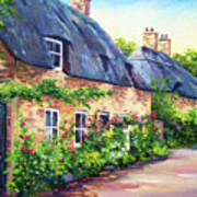 Thatched Roofs Poster