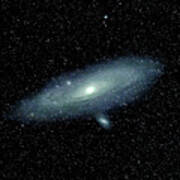 The Andromeda Galaxy - 10/2021 Poster