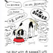 The Best Week Of Boomer's Life Poster