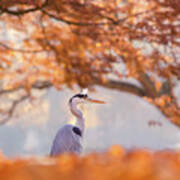 The Blue Heron And The Red Tree Poster