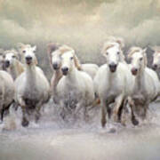 The Charge -wild Horses Poster