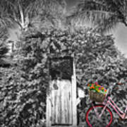 The Charm Of A Garden Gate In Black And White With Selected Colo Poster