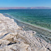 The Dead Sea Poster