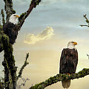 The Eagle Pair Poster