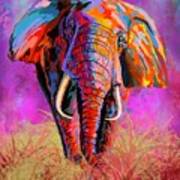 The Elephant Dance Poster