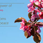 The Flower Of Wisdom Poster