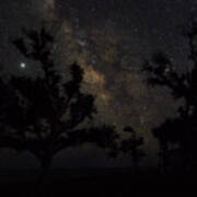 The Milky Way And Tree Silhouettes Poster