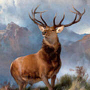 The Monarch Of The Glen Poster