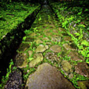 The Mossy Way... Nikko. Japan Poster