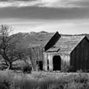 The Old Barn Monochrome Poster