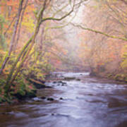 The River In Autumn Poster