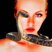 The Snake Lady Poster