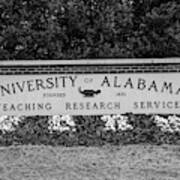 The University Of Alabama Sign Black And White Poster