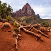 The Watchman's Roots Poster