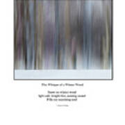 Whisper Of A Pastel Winter Wood Redux Haiku Poem Poster