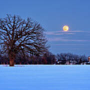 The Winter Blues - Wolf Moonrise With Lone Oak And Wi Dairy Farm Poster