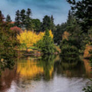 There Is Autumn In Davis, California, Usa Poster