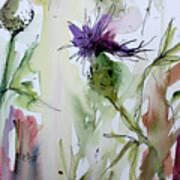 Thistles Modern Floral Art Watercolor And Ink By Ginette Poster