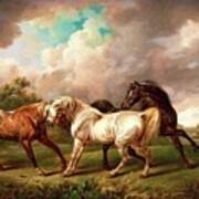 Three Horses In A Stormy Landscape Poster