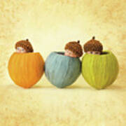 Three Little Acorns Poster