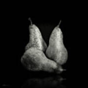 Three Pears Poster