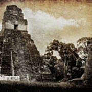 Tikal Abandoned Revisited Poster