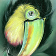 Toucan Colorful Exotic Bird Poster