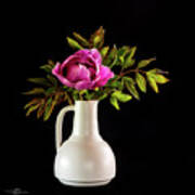 Tree Peony Lan He Paeonia Suffruticosa Rockii In A White Vase On A Black Background Poster