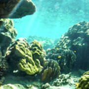 Tropical Underwater Scene Poster