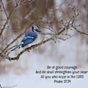 Trusting At All Times Bird And Scripture Poster