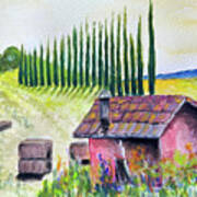 Tuscan Hay Field Poster