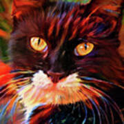 Tuxedo Cat Art Poster