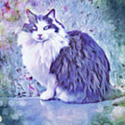 Tuxedo Cat Poster
