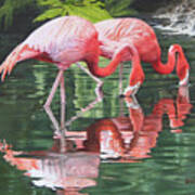 Two Flamingos Poster