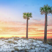 Two Palm Trees At Sunset Pensacola Florida Poster