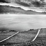Two Paths. Lavaux Vineyards. Leman Lake. Alps. Switzerland. Before The Storm Poster