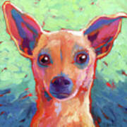 Twyla Chihuahua Poster