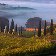 Val D'orcia Poster
