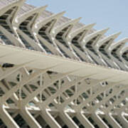 Valencia Museo De Las Ciencies Principe Felipe Ii Poster