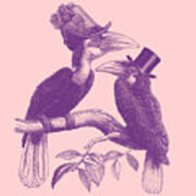 Victorian Hornbills In Pink And Purple Poster