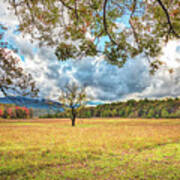 View From Sparks Lane At Cades Cove Townsend Tennessee Poster