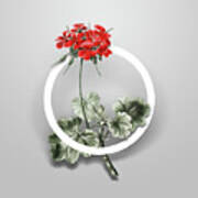 Vintage Scarlet Geranium Minimalist Floral Geometric Circle Art N.665 Poster