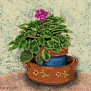 Violet In Flowered Pot Poster