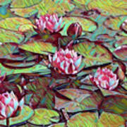 Water Lilies Lotus Poster