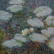 Water Lilies Nr 24 Poster