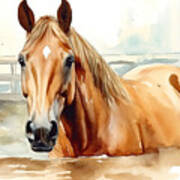 Watercolor Horse In The Stable Hand Painted Illustration Poster