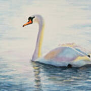 Watercolor Swan Poster