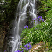 Waterfall With Flowers Poster