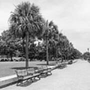 Waterfront Park Black And White Poster